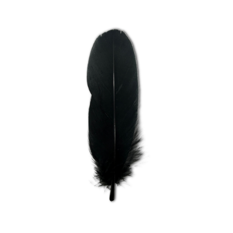 Raven feather