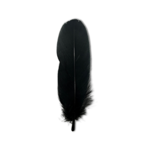 Pluma cuervo