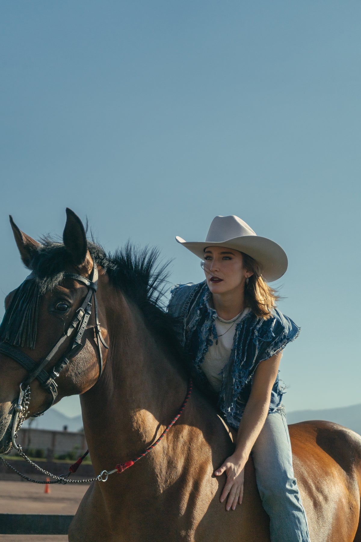 Sombrero John gris nieve — modelo caballo