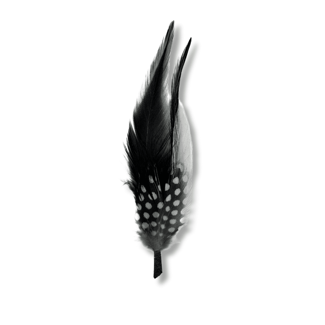 Pluma decorativa - Goose Hatmakers