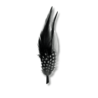 Pluma decorativa - Goose Hatmakers